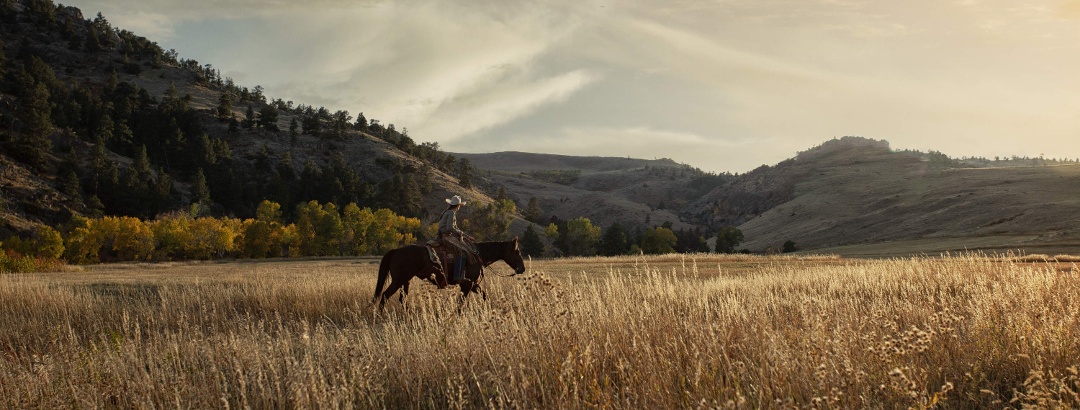 Enjoying nature on horseback