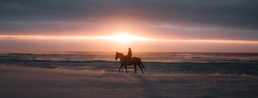 Dreamlike ride at sunset by the sea