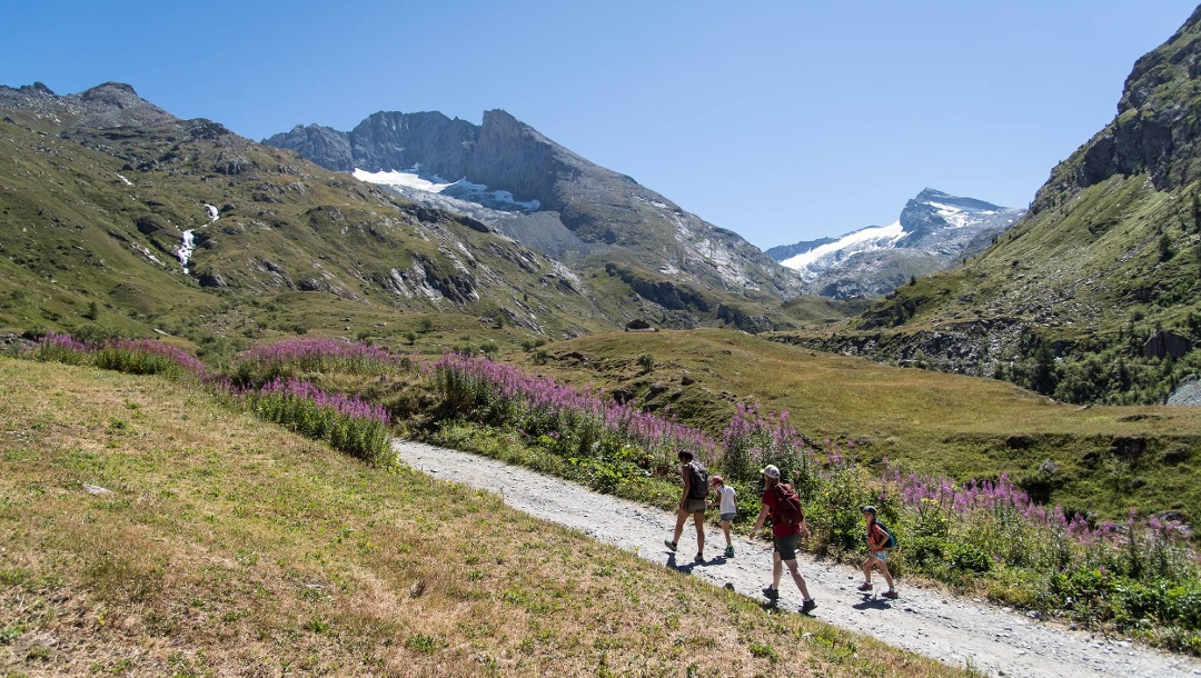 Randonnée en Haute Maurienne Vanoise en été autour de Bessans