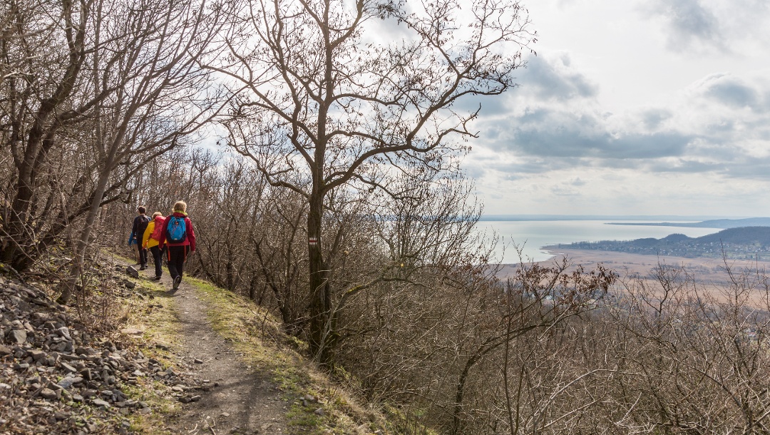 The panoramic path on the northwestern slope of Badacsony