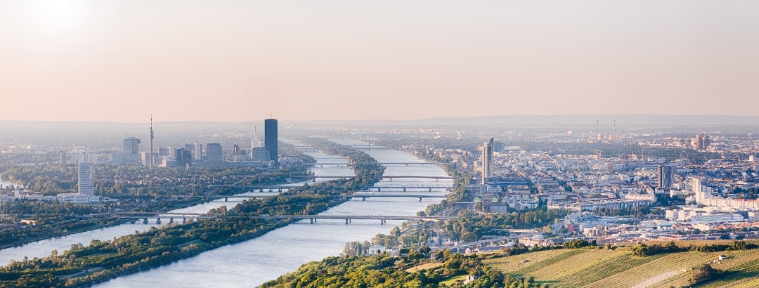 View of Vienna and the Danube from the Kahlenberg