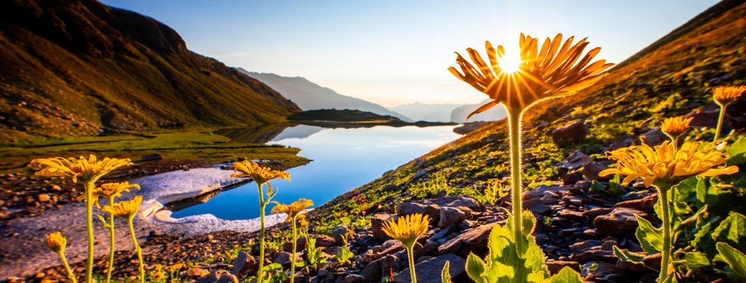 Bivouac au lac Faravel dans le Pays des Écrins